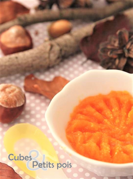 Recette Pour Bebe De Canard Et Puree Butternut Chataignes Des 9 12 Mois Cubes Petits Pois