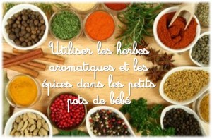 Epices Et Herbes Aromatiques Pour Bebe Cubes Petits Pois