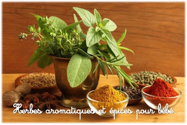 Épices, aromates et condiments