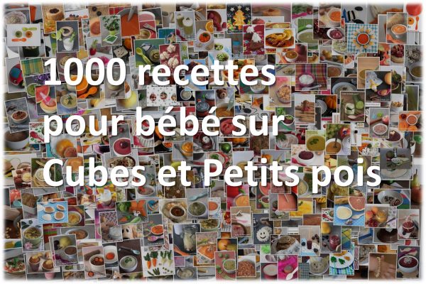 1000 recettes pour bébé sur le site de Cubes et Petits pois