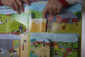 Les aliments P'tits curieux Usborne