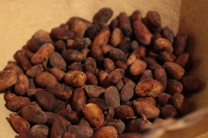 Fèves de cacao