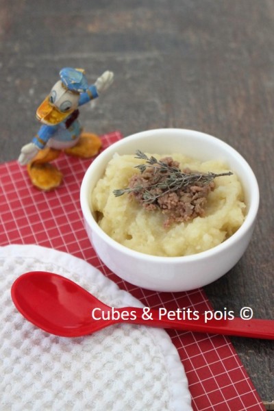 Puree De Panais Boeuf Au Thym Recette Pour Bebe De 8 Mois Cubes Petits Pois