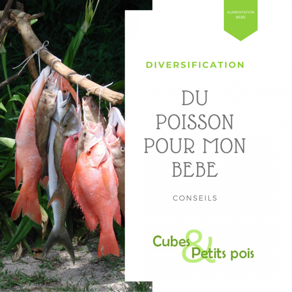 poisson pour bébé diversification