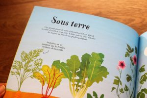 Tout commence par une graine Usborne Avis Cubes et Petits pois Eveil au goût pour bébé 03