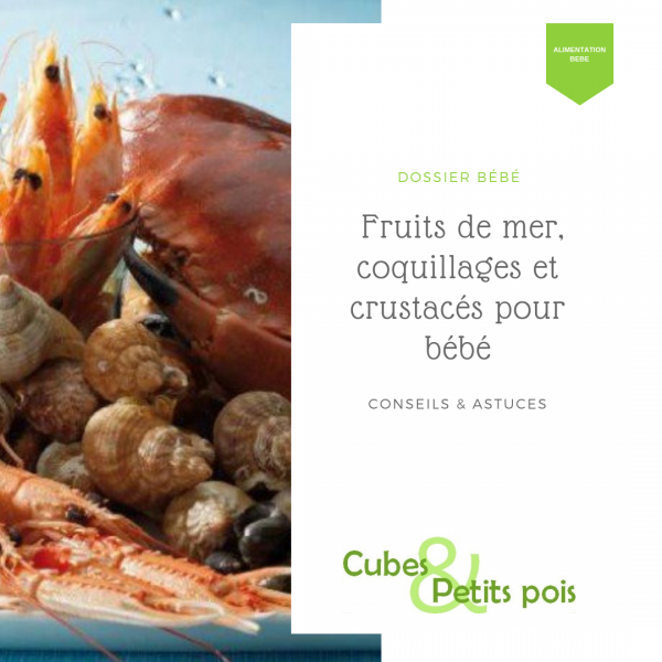 Fruits de mer coquillages crustacés pour bébé