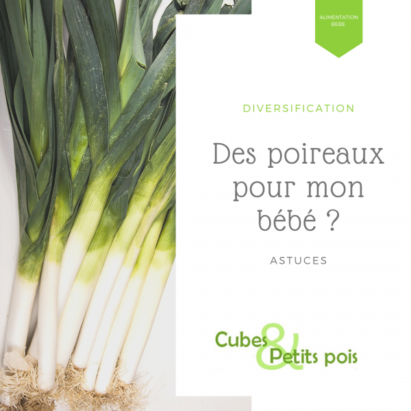 Poireau pour bébé diversification alimentaire