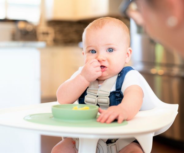 Développement de la mastication de bébé lors de la DME