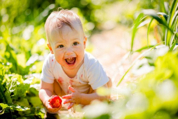 Premiers fruits en diversification menée par l'enfant