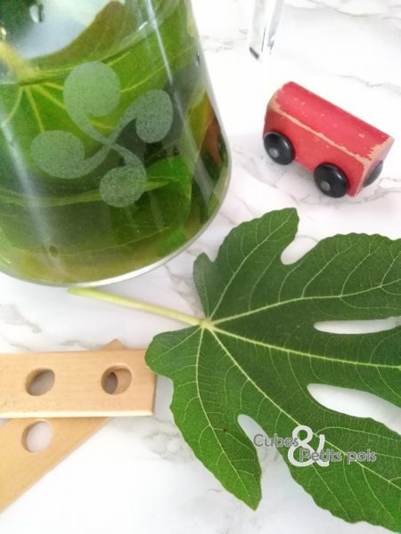 Infusion Pour Bebe A La Feuille De Figuier Par Cubes Et Petits Pois Cubes Petits Pois